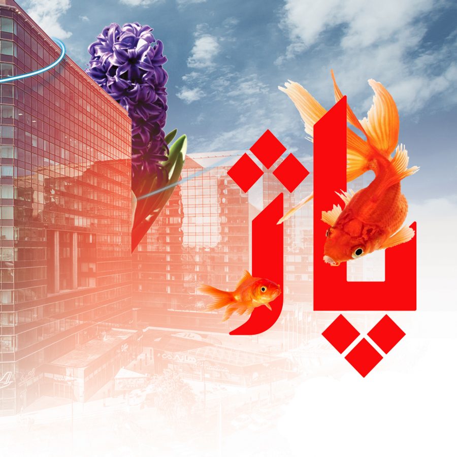 پاژ در ایام نوروز1401